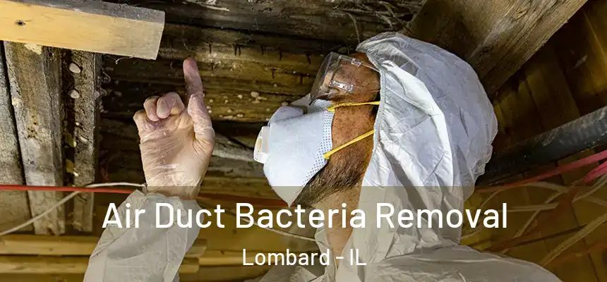  Air Duct Bacteria Removal Lombard - IL