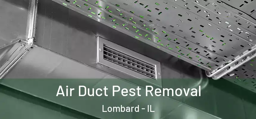 Air Duct Pest Removal Lombard - IL