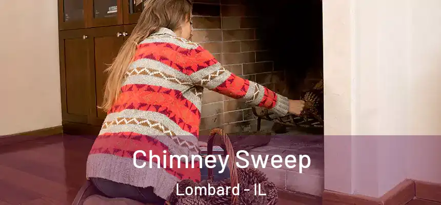  Chimney Sweep Lombard - IL