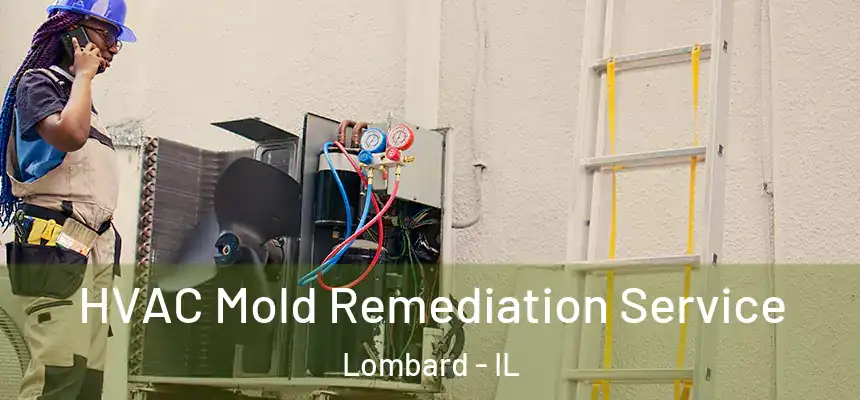  HVAC Mold Remediation Service Lombard - IL