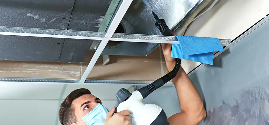 Our Air Duct Rodent Removal Services in Lombard, IL