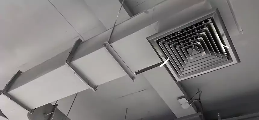 Restorative Allergy Relief Vent Cleaning – Coil, Blower & Housing Detail in Lombard