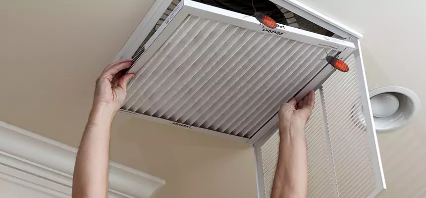 Our Insect Removal from Air Ducts Services in Lombard, IL
