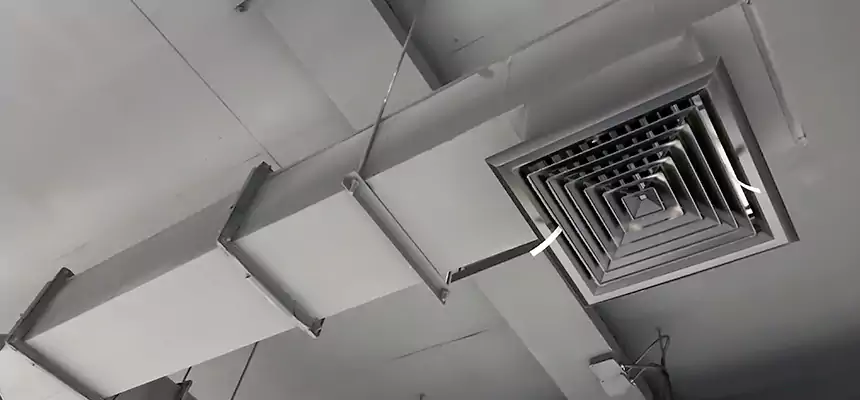 Our Rodent Droppings In Vents Services in Lombard, IL