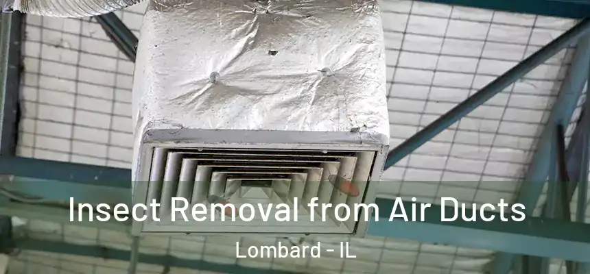 Insect Removal from Air Ducts Lombard - IL