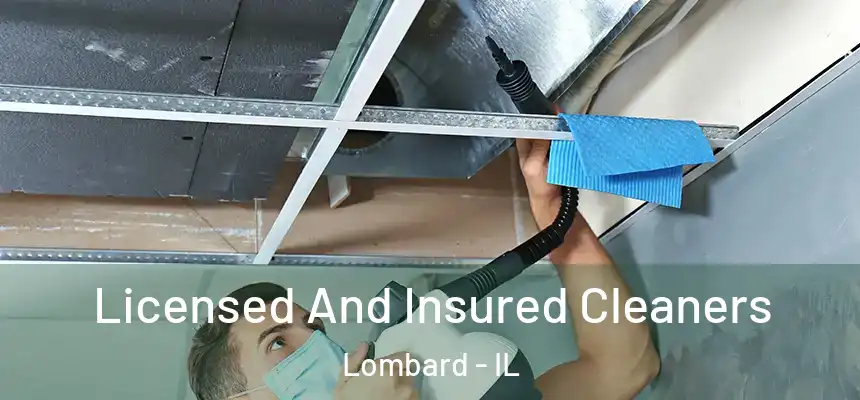  Licensed And Insured Cleaners Lombard - IL