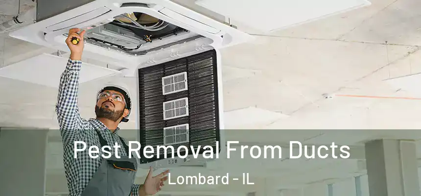 Pest Removal From Ducts Lombard - IL