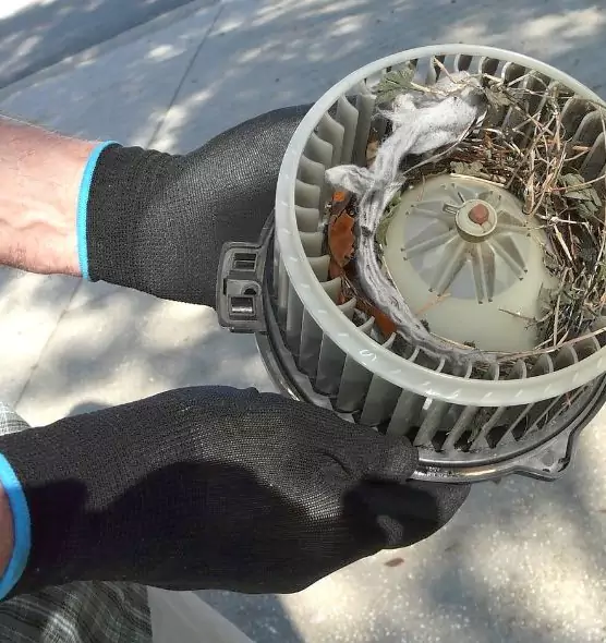 About Air Duct Mice Removal in Lombard, IL