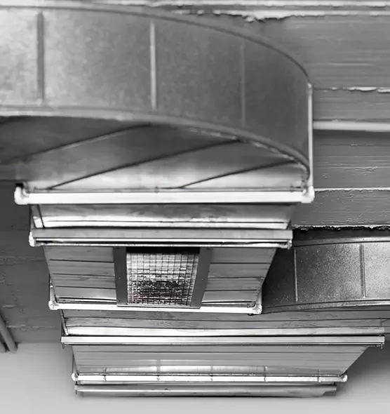 Professional Air Duct Pet Hair Removal in Lombard, IL