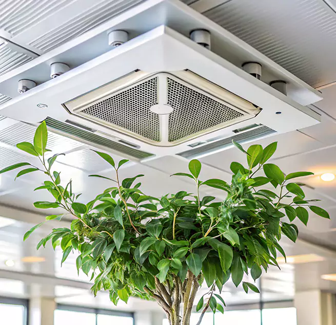 Why Homeowners & Businesses Trust Us in Lombard, IL?