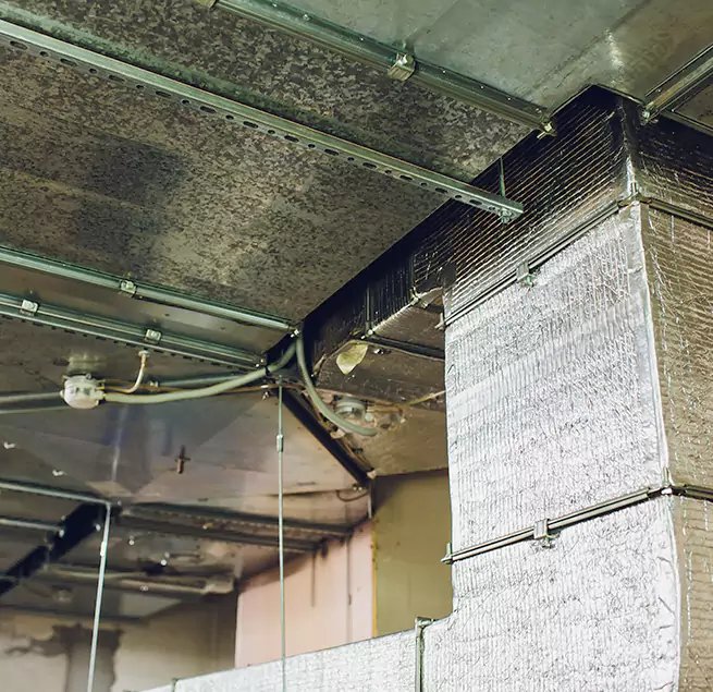 Why Homeowners & Businesses Trust Us in Lombard, IL?